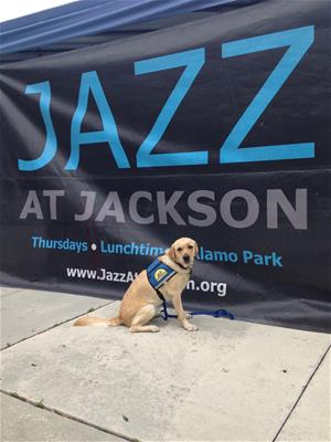 Regatta at Jazz at Jackson