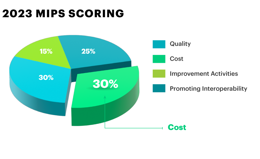 MIPS-Pie-Charts-Cost